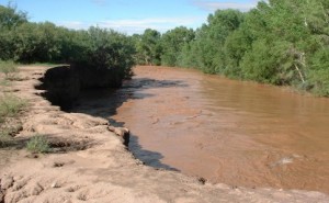 San Pedro River Flooding Picture