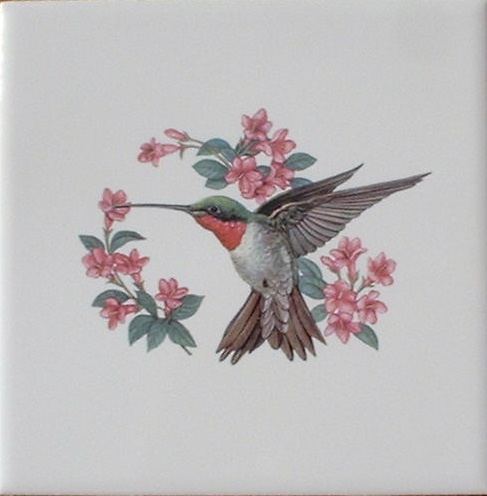 Bird Room Pictures