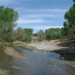 San Pedro River