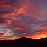 Arizona Sunset