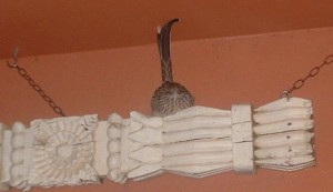 Roadrunner roost