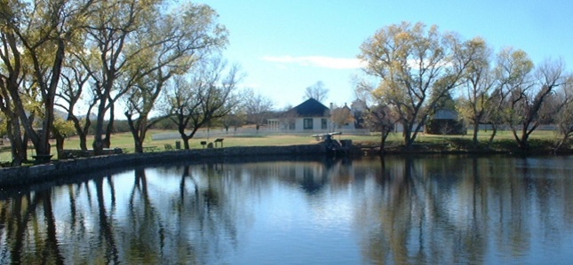 Pond Picture