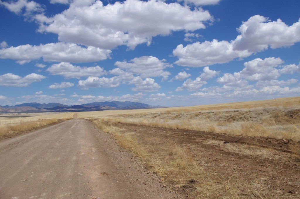 the-san-rafael-valley-is-a-state-park-south-of-patagonia-arizona-down