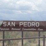 San Pedro House birding area sign
