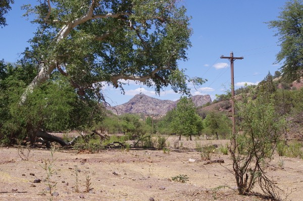 Southeast Arizona Ghost Town Picture