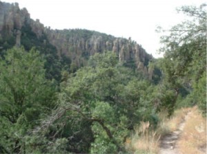 Ed Riggs Trail