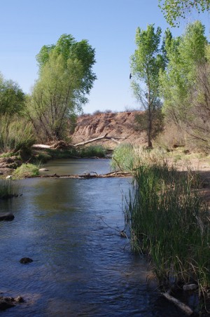 San Pedro River History - Down by the River Bed and Breakfast Down by ...