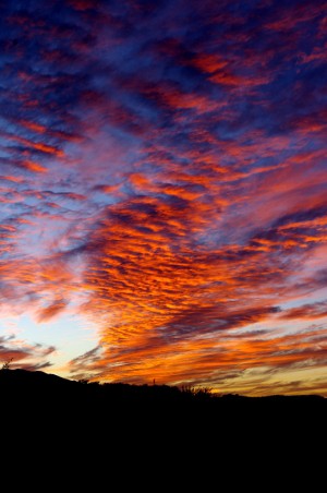 San Pedro River History - Down by the River Bed and Breakfast Down by ...